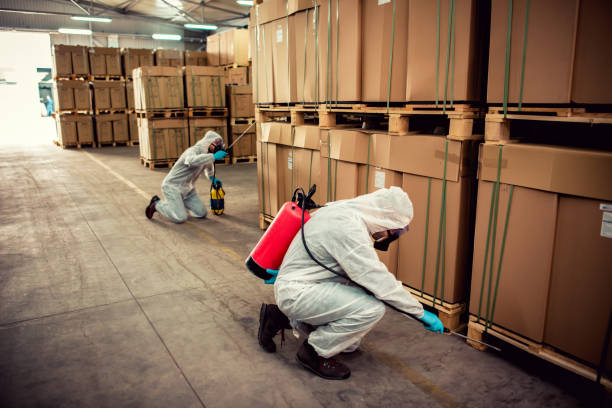 Best Mosquito Control Services  in Orangevale, CA