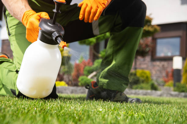Best Pest Control for Businesses  in Orangevale, CA