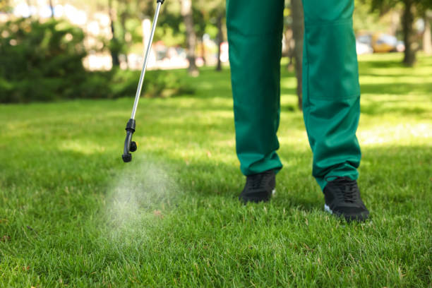 Pest Prevention Services in Orangevale, CA