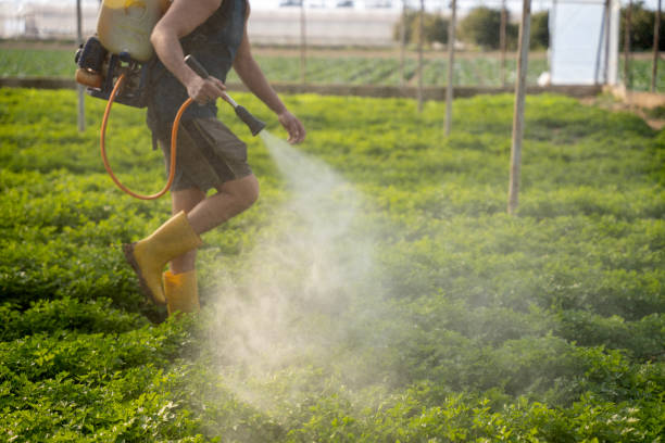 Orangevale, CA Pest Control Company