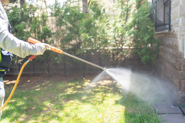 Best Rat Extermination Near Me  in Orangevale, CA